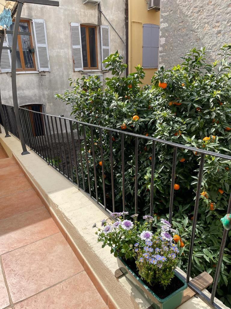 Appartements Climatises - Vieil Antibes Dış mekan fotoğraf